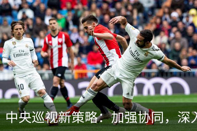 中央巡视新策略：加强协同，深入调查腐败现象