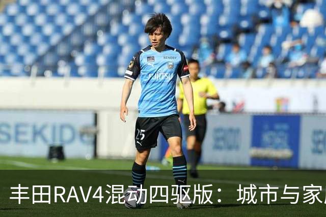 丰田RAV4混动四驱版：城市与家庭兼顾的理想选择