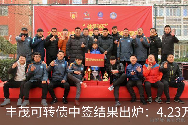丰茂可转债中签结果出炉：4.23万号中签，规模6.08亿