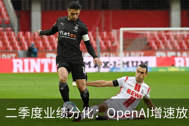 二季度业绩分化：OpenAI增速放缓，Anthropic实现爆发式增长