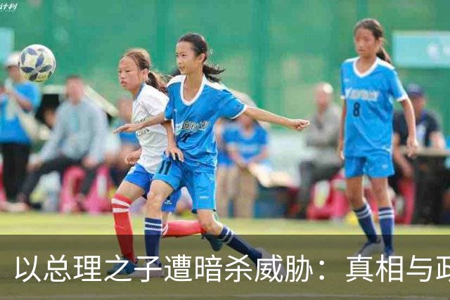 以总理之子遭暗杀威胁：真相与政治利益交织