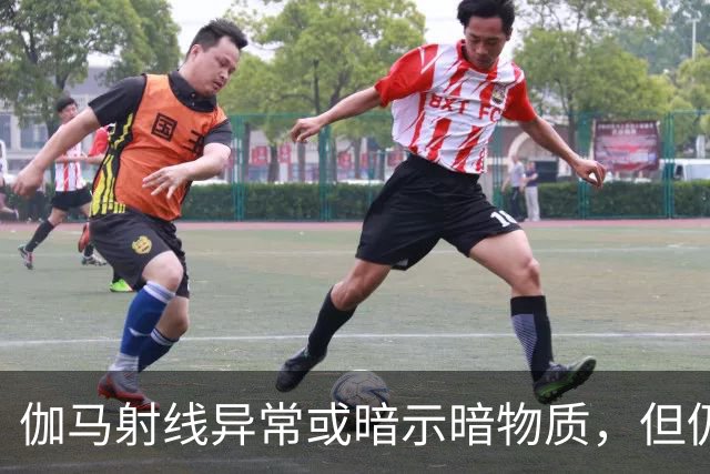 伽马射线异常或暗示暗物质，但仍有疑点