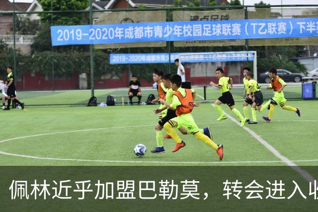 佩林近乎加盟巴勒莫，转会进入收尾阶段