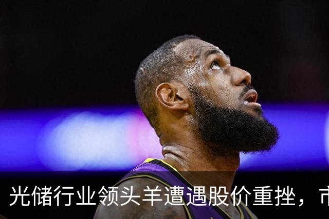 光储行业领头羊遭遇股价重挫，市场情绪为何如此悲观？