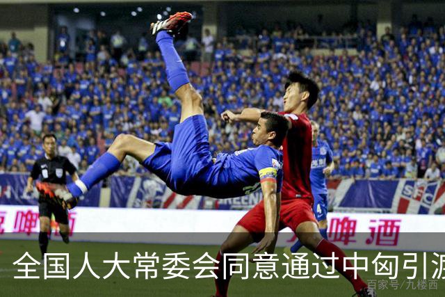 全国人大常委会同意通过中匈引渡条约