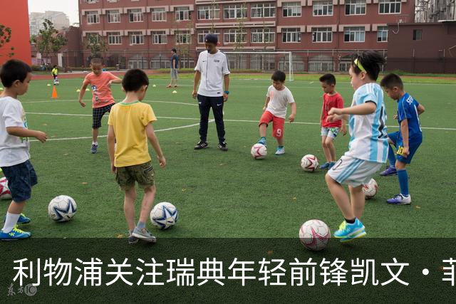 利物浦关注瑞典年轻前锋凯文·菲林
