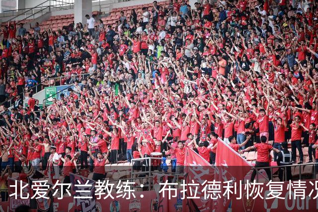 北爱尔兰教练：布拉德利恢复情况符合预期，期待明年回归