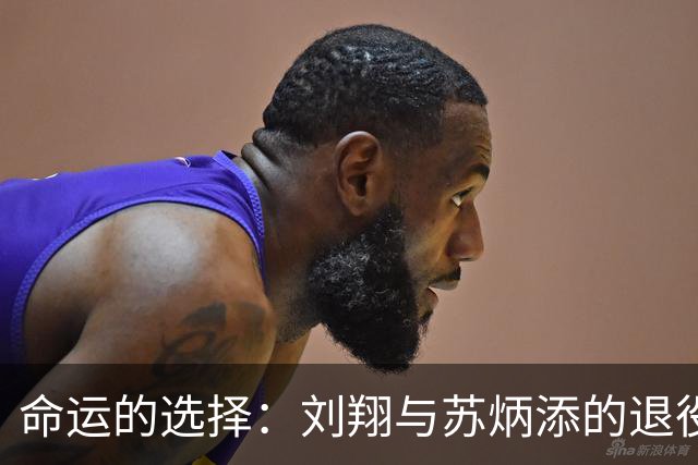 命运的选择：刘翔与苏炳添的退役之路