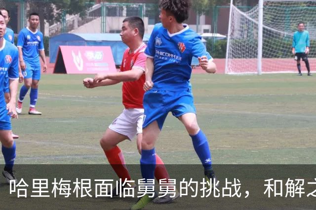 哈里梅根面临舅舅的挑战，和解之路更显复杂