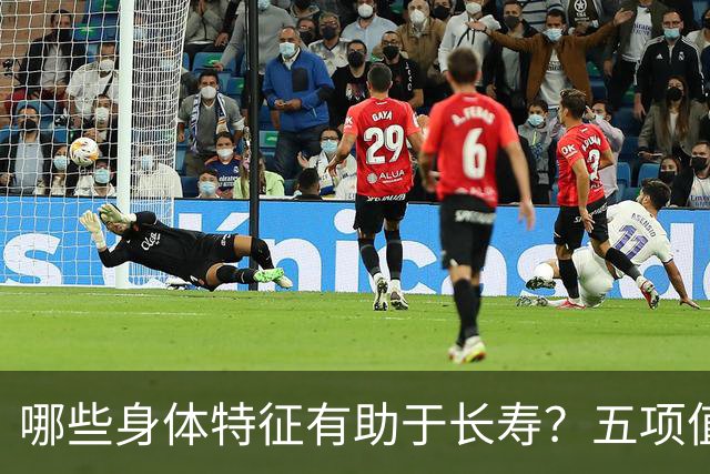 哪些身体特征有助于长寿？五项值得关注