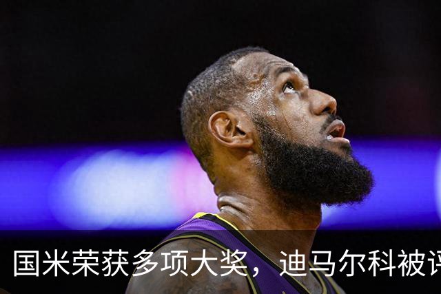 国米荣获多项大奖，迪马尔科被评为最佳左后卫