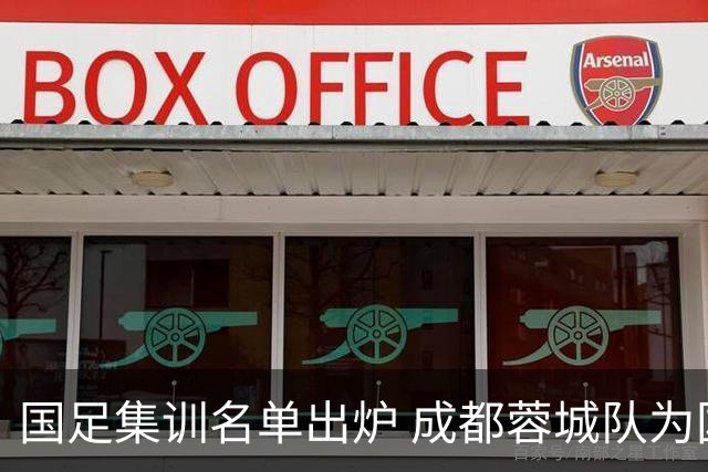 国足集训名单出炉 成都蓉城队为国贡献力量