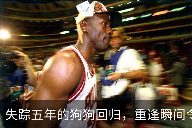 失踪五年的狗狗回归，重逢瞬间令人动容
