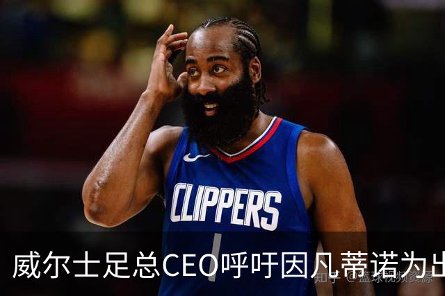 威尔士足总CEO呼吁因凡蒂诺为出售风波辞职