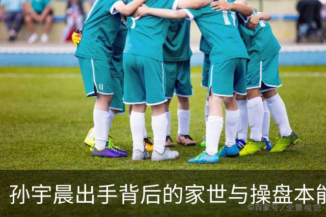 孙宇晨出手背后的家世与操盘本能