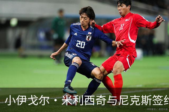 小伊戈尔·米利西奇与尼克斯签约，非达科·米利西奇亲属