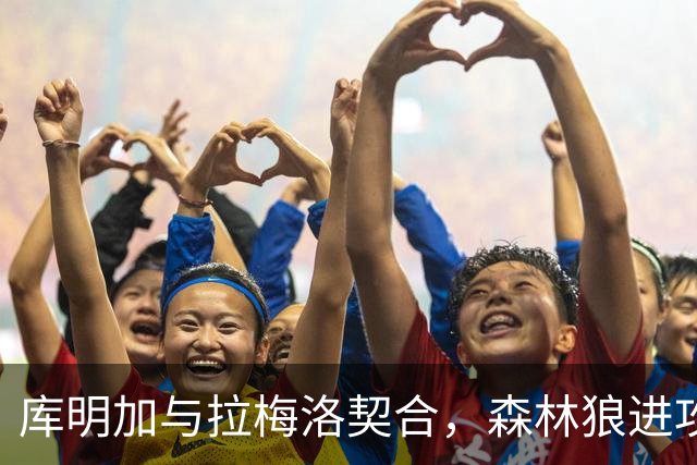 库明加与拉梅洛契合，森林狼进攻将更具威胁