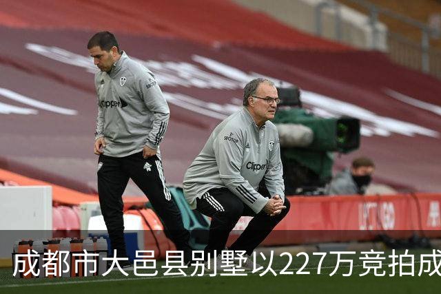 成都市大邑县别墅以227万竞拍成交，购得者捡漏