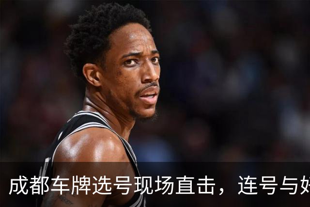成都车牌选号现场直击，连号与好号引发热潮