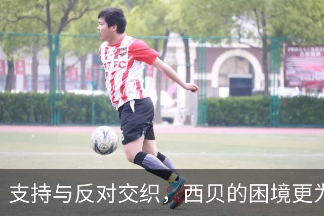 支持与反对交织，西贝的困境更为严峻