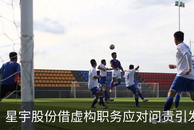 星宇股份借虚构职务应对问责引发质疑