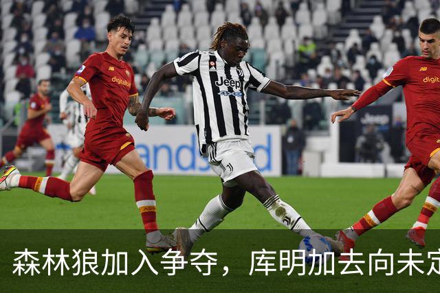 森林狼加入争夺，库明加去向未定