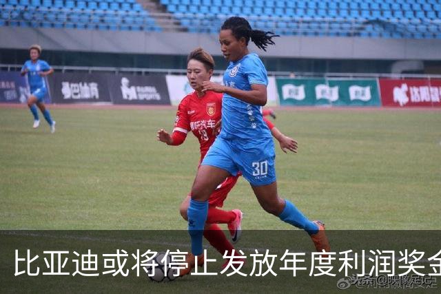 比亚迪或将停止发放年度利润奖金？
