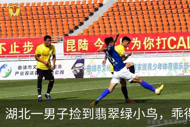湖北一男子捡到翡翠绿小鸟，乖得让观鸟圈惊讶