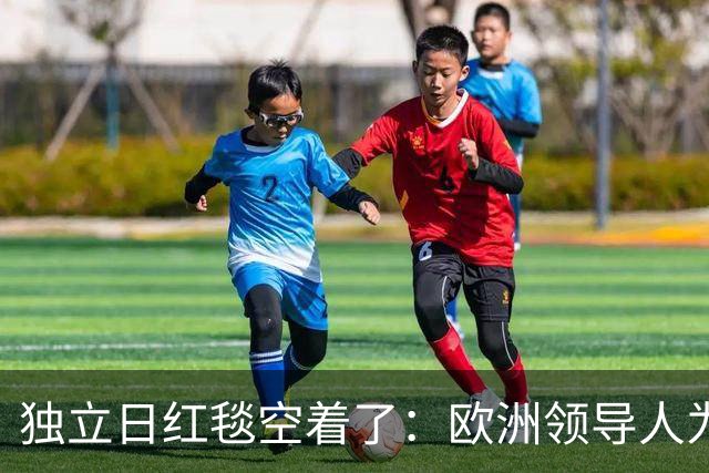 独立日红毯空着了：欧洲领导人为何集体撤访基辅