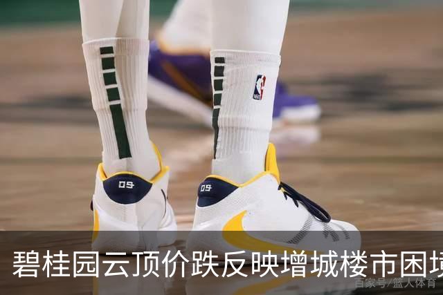 碧桂园云顶价跌反映增城楼市困境
