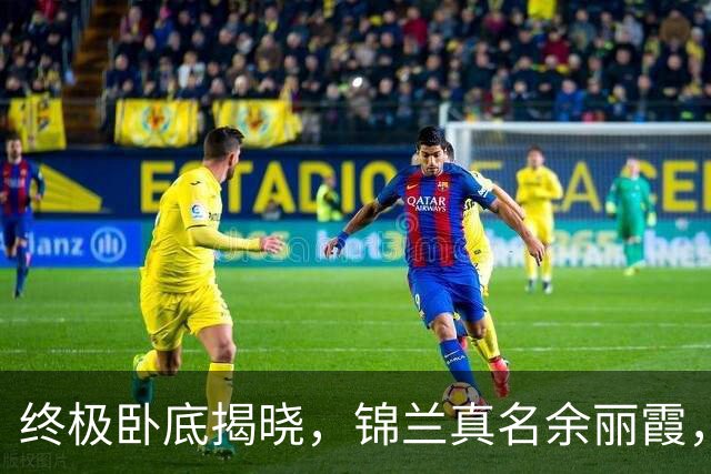 终极卧底揭晓，锦兰真名余丽霞，魏广进的复仇计划渐显成效