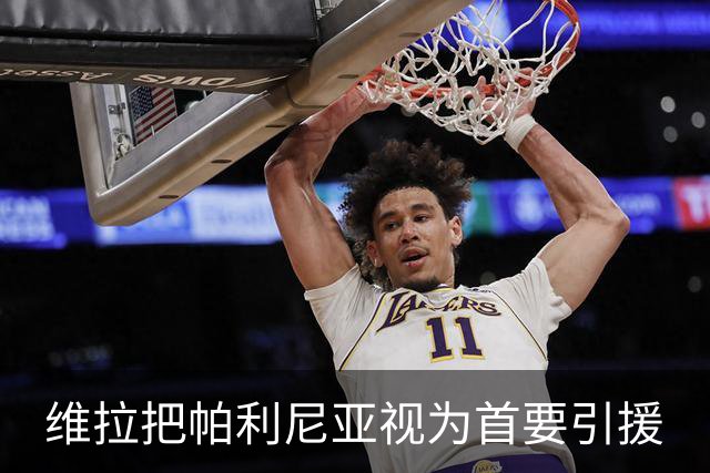 维拉把帕利尼亚视为首要引援