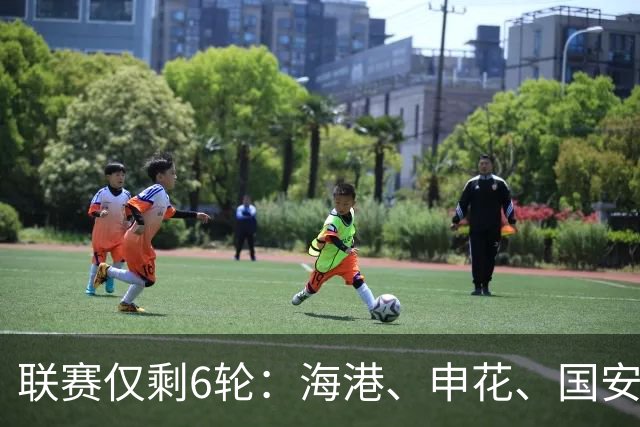 联赛仅剩6轮：海港、申花、国安伤员与回归可能