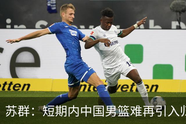 苏群：短期内中国男篮难再引入归化球员