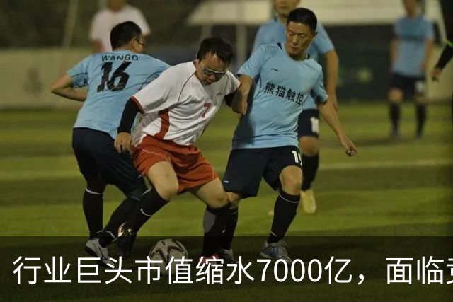 行业巨头市值缩水7000亿，面临竞争压力