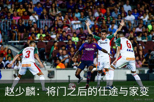 赵少麟：将门之后的仕途与家变