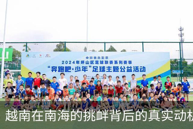越南在南海的挑衅背后的真实动机