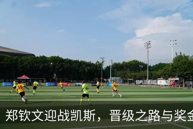 郑钦文迎战凯斯，晋级之路与奖金前景分析