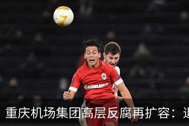 重庆机场集团高层反腐再扩容：退休董事长被查
